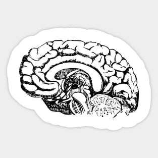 Brain Sticker